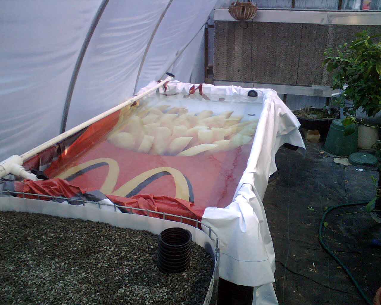 Utah Aquaponic System Construction and Early Startup
